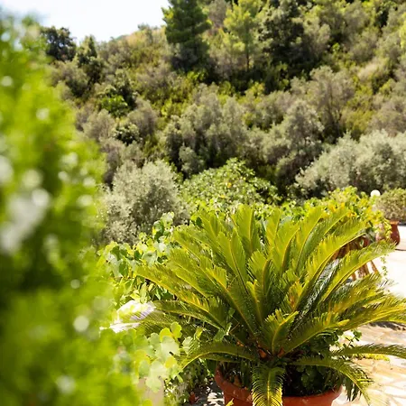 Hotel Nefelia Achladies (Skiathos)