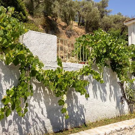 Nefelia * Achladies (Skiathos)